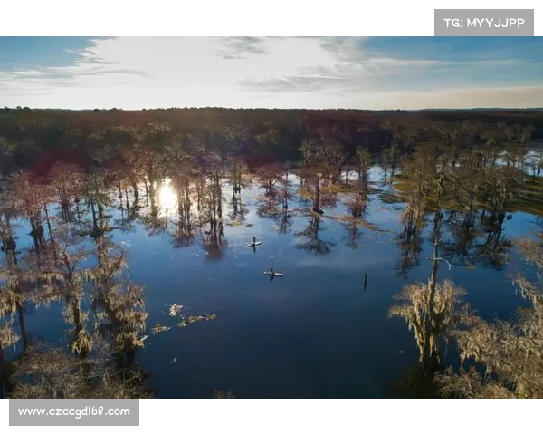 揭开沼光湖的神秘面纱探寻幽怨诡异的过往与未解之谜 揭开沼光湖的神秘面纱探寻幽怨诡异的过往与未解之谜