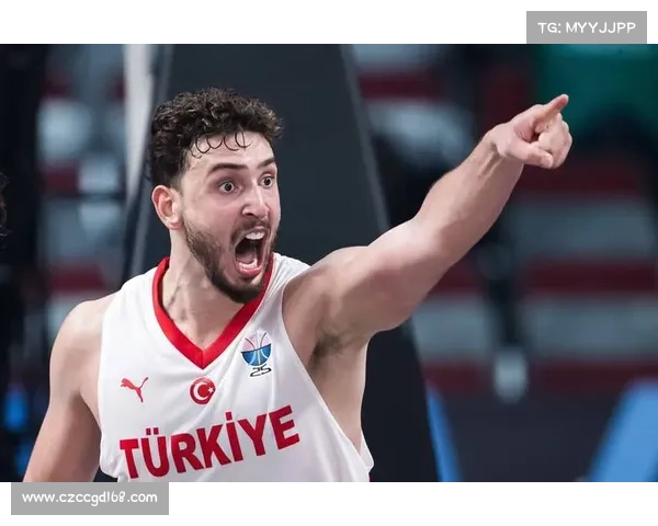 了解字母哥所在国家希腊的历史文化背景与发展轨迹