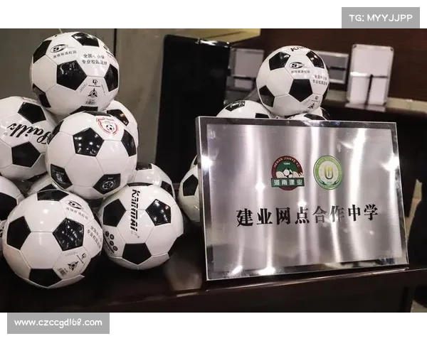 从五个关键要点深入解析建业俱乐部的组织性质与发展特征